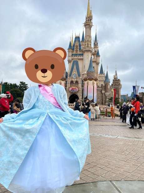 東京ディズニーランド公式 ビビディバビディブティック ケープ ボレロ 